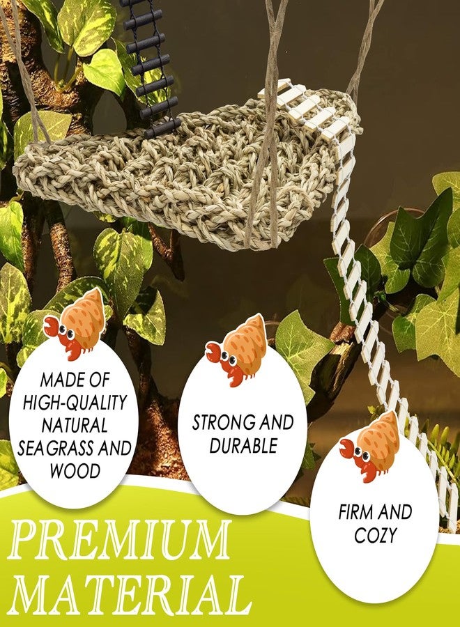 Niuohoy Hermit Crab Climbing Toys Set, Seagrass Hammocks Reptile Ladder Bridge Set Ornamental Fake Grass, Hermit Crab Habitat Tank Accessories, Also for Lizard Hamster Guinea Pig Rats - Image 3